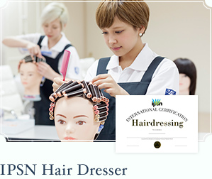 IPSN Hair Dresser