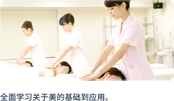 全面学习关于美的基础到应用。