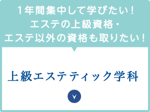 １年中集中して学びたい！　エステの上級資格・エステ以外の資格も取りたい！　上級エステティック学科