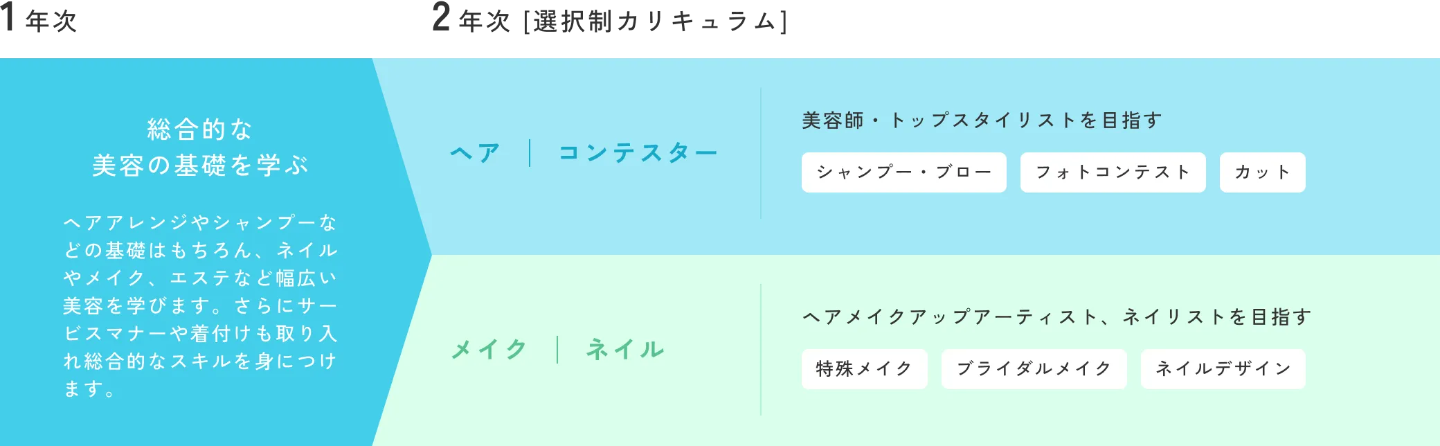 1年目はビューティの基礎を幅広く学び、2年目はやりたいこと、進みたい道にあったコースを選択できる!