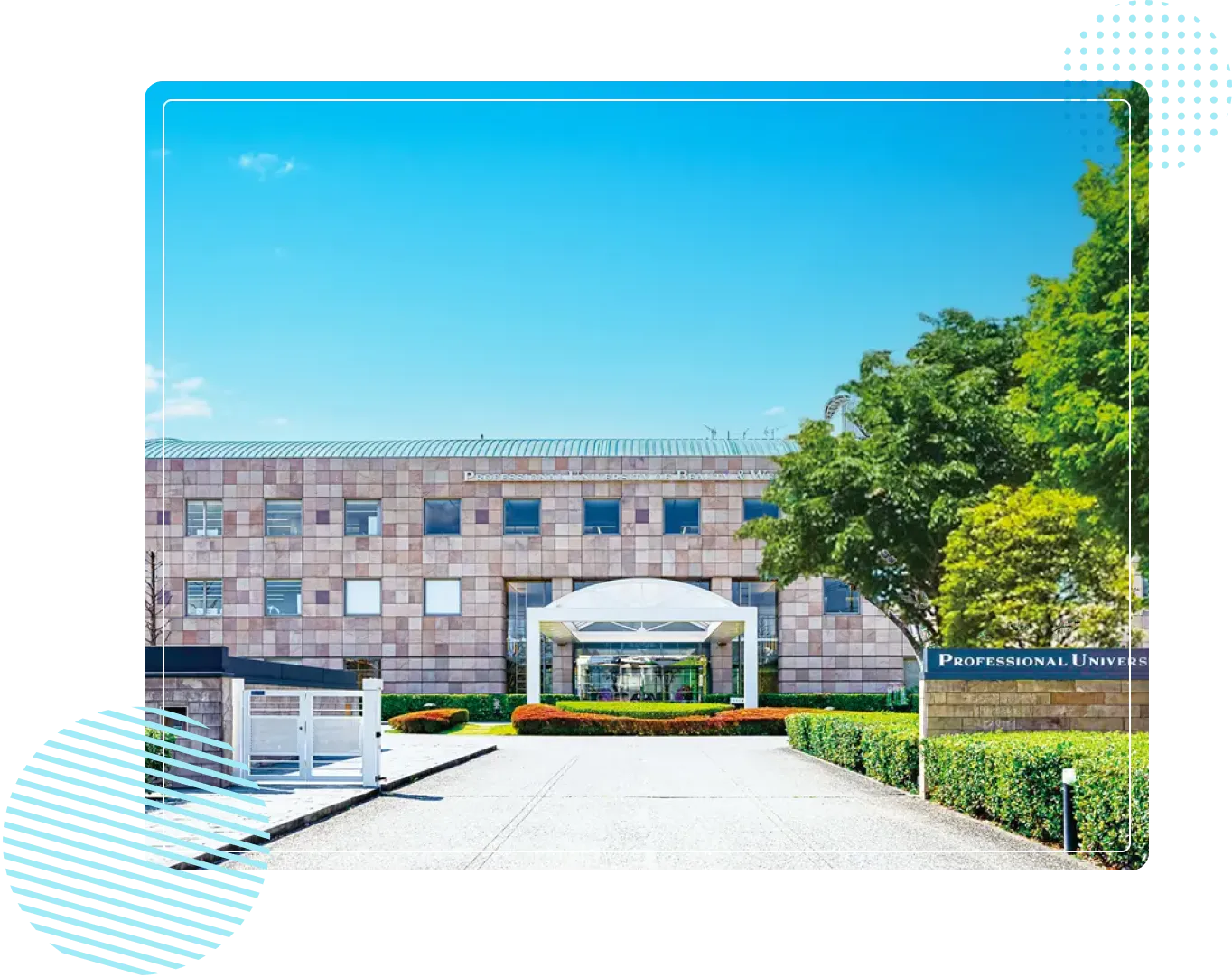 ミスパリ学園の4年制大学!